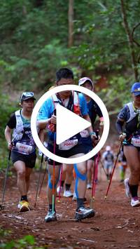 BIB:  <button type="button" onclick="openModal(27515519)" class="btn btn-primary btn-sm float-right" data-toggle="modal" data-target=".modal-high-quality">
                <i class="fa fa-download"></i> Download
                </button>